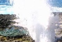 Tour Around San Andres Island in Van or Train